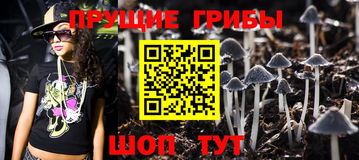 Псилоцибиновые грибы Psilocybine cubensis Среднеуральск