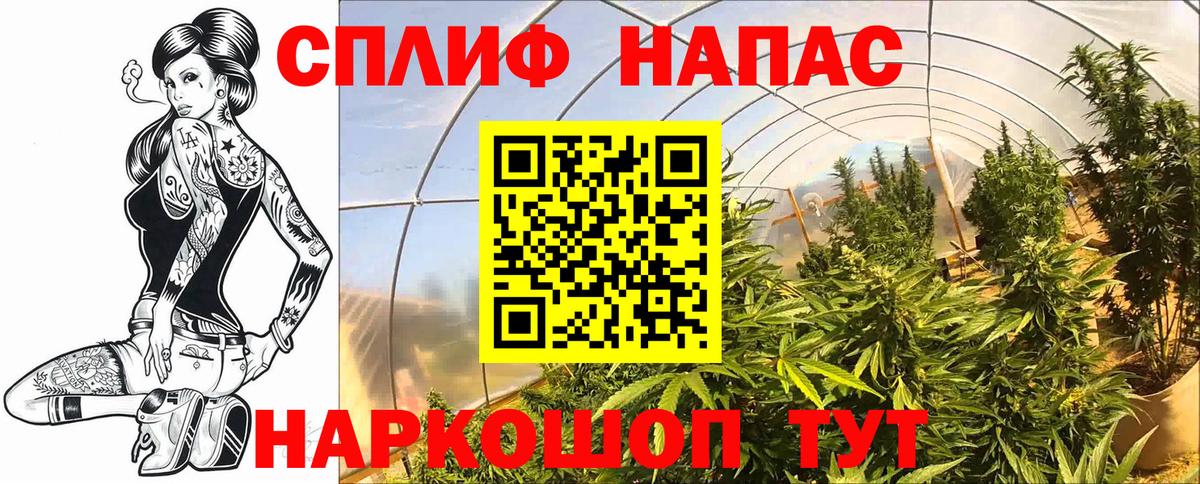 Среднеуральск  Шишки марихуана семена  Бошки марихуана марихуана  МАРИХУАНА ГИДРОПОН  Вход с VPN 